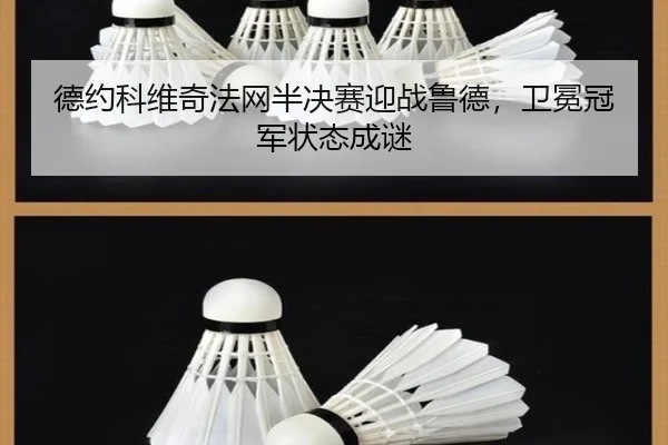 德约科维奇法网半决赛迎战鲁德，卫冕冠军状态成谜