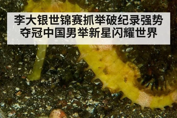 李大银世锦赛抓举破纪录强势夺冠中国男举新星闪耀世界